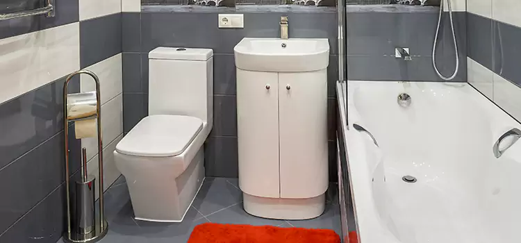 Hansgrohe Shaving Mirror Snellville